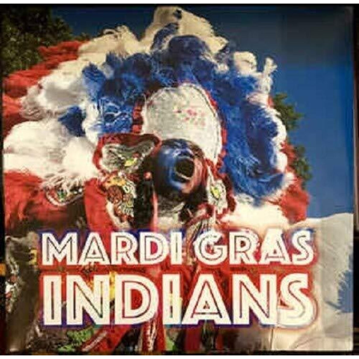 Mardi Gras Indians