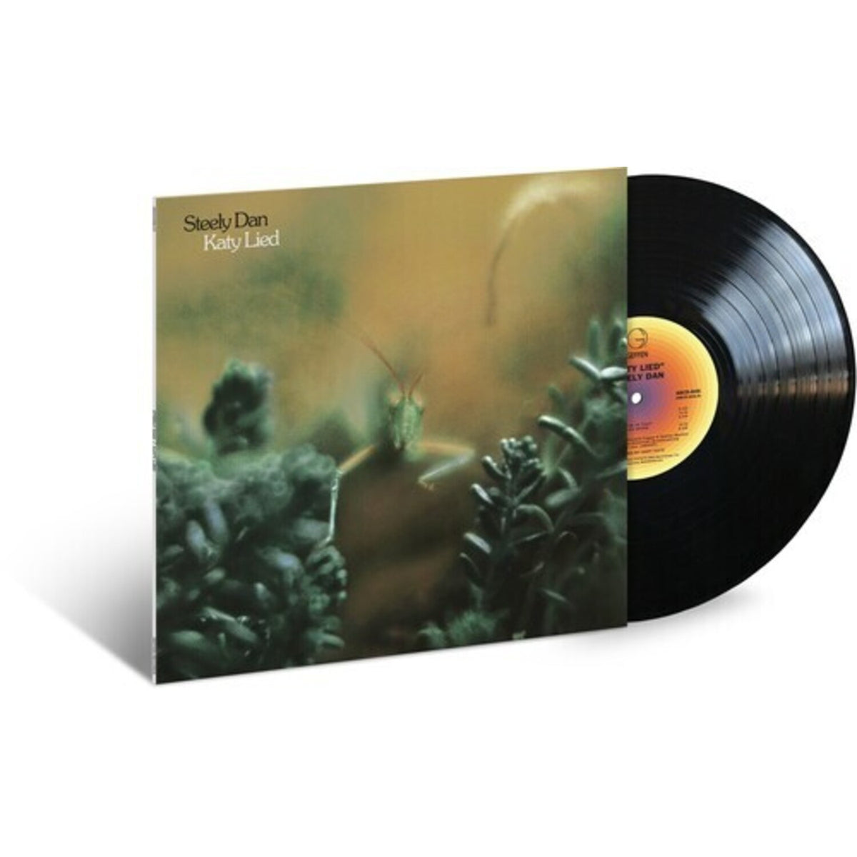 Katy Lied