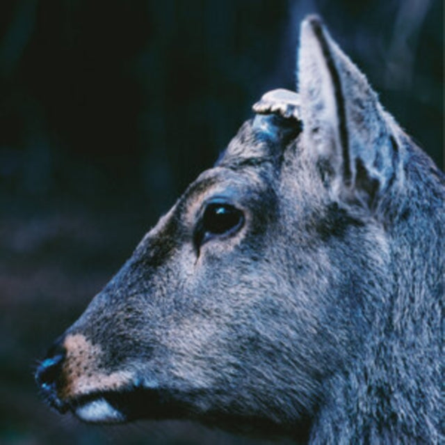 Book About My Idle Plot On A Vague Anxiety (Deer Glisten Blue LP Vinyl)