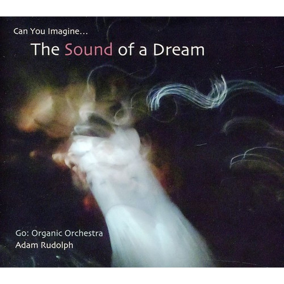 Go: Organic Orchestra-Can You Imagine-Sound Of A Dream