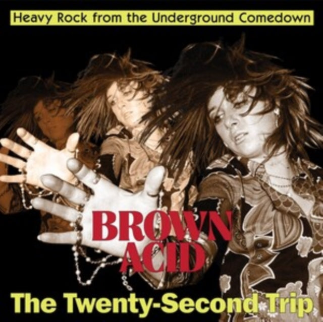 Brown Acid - The Twenty-Second Trip