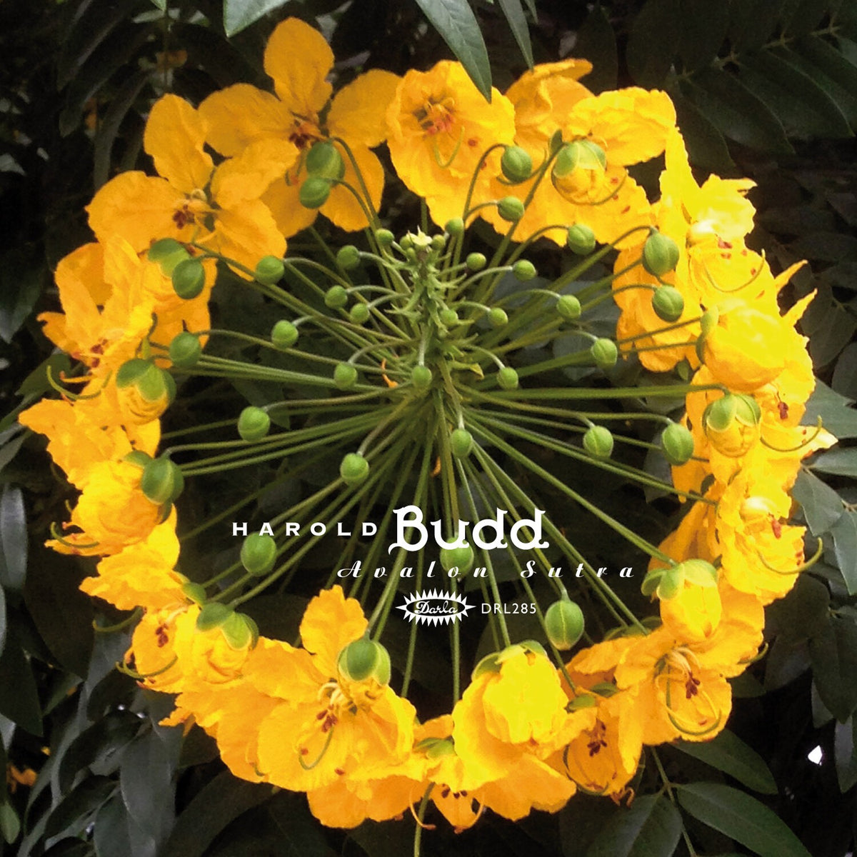 Avalon Sutra (3LP/Bonus Track/Limited)