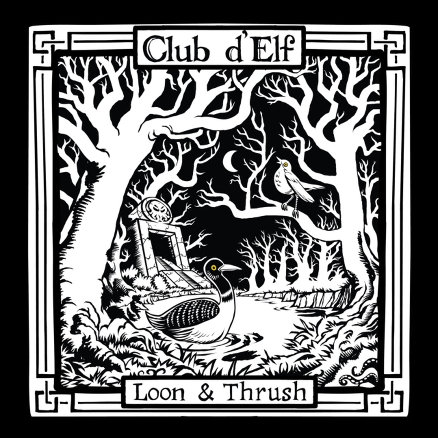 Loon & Thrush (2LP)