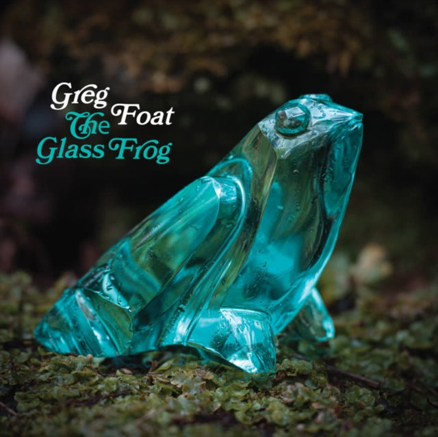 Glass Frog