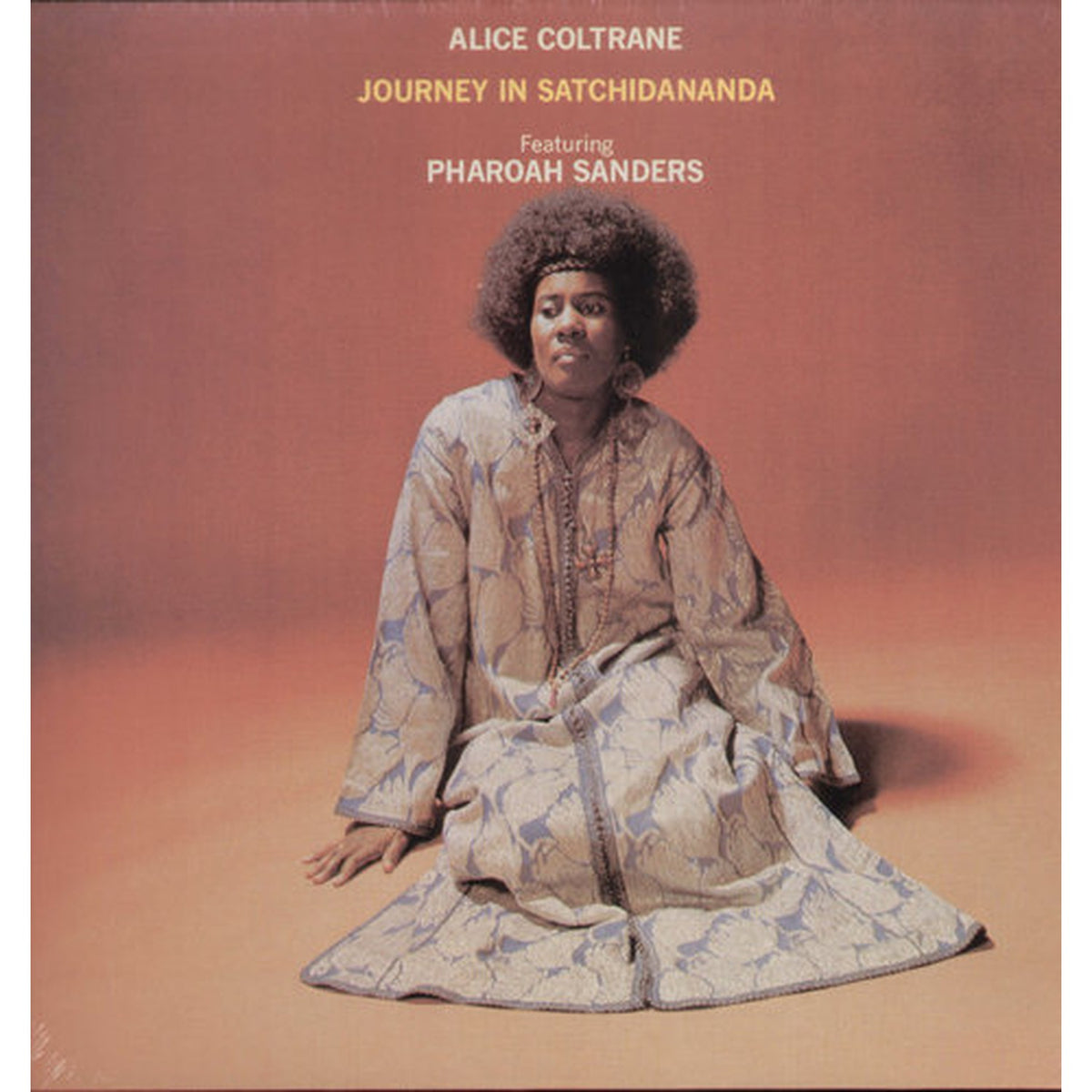 Journey In Satchidananda
