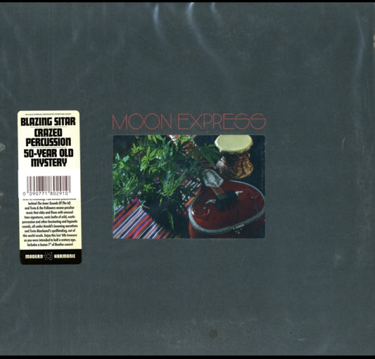 Prophetic Spirit (LP & Bonus 7 Inch)