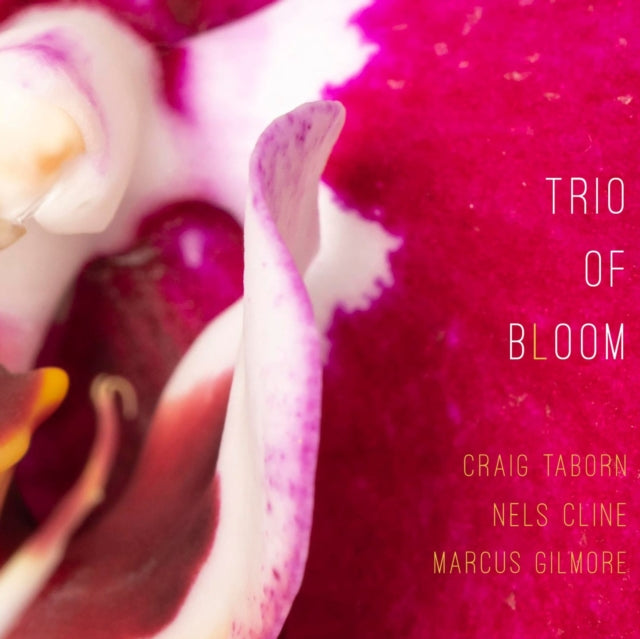 Trio Of Bloom