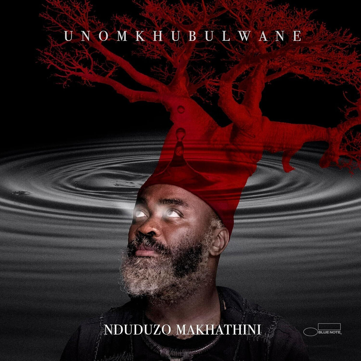 Unomkhubulwane (2LP)
