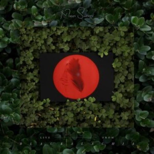 Live - From Blackalachia (2LP/Clear Green Vinyl)