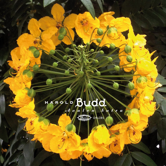 Avalon Sutra (3LP/Bonus Track/Limited)