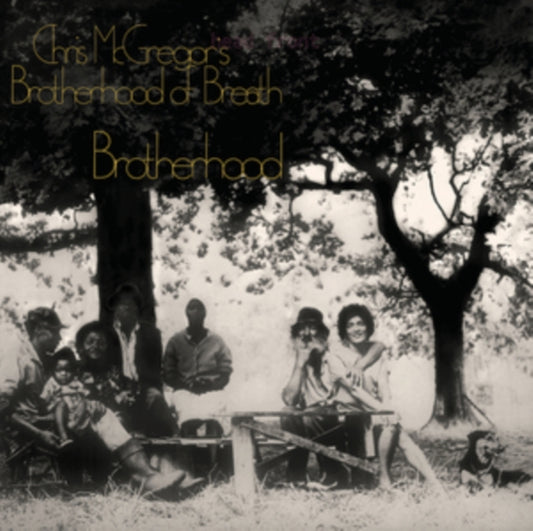 Brotherhood (Coloured LP Vinyl)