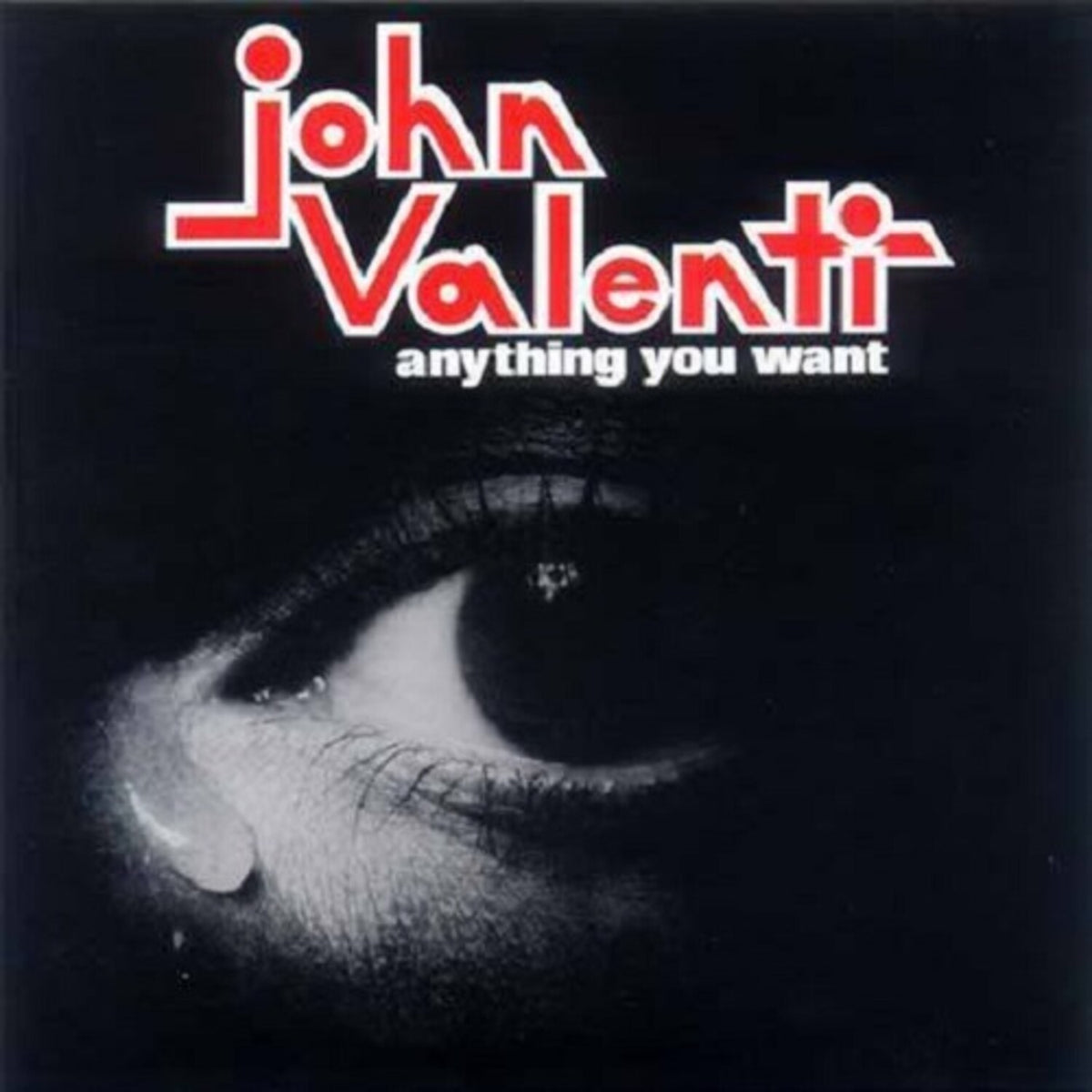 Anything You Want
