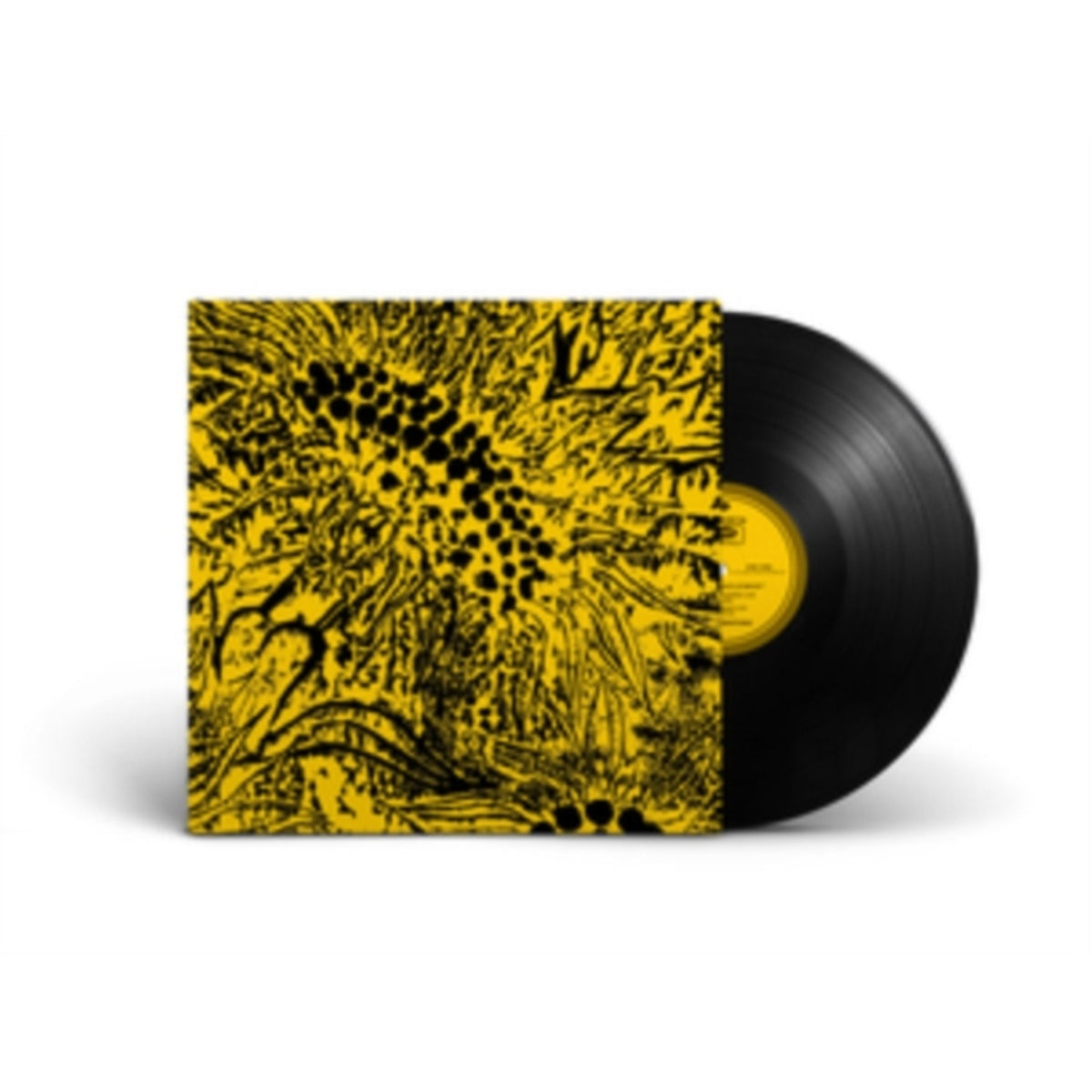 Little Sunflower
