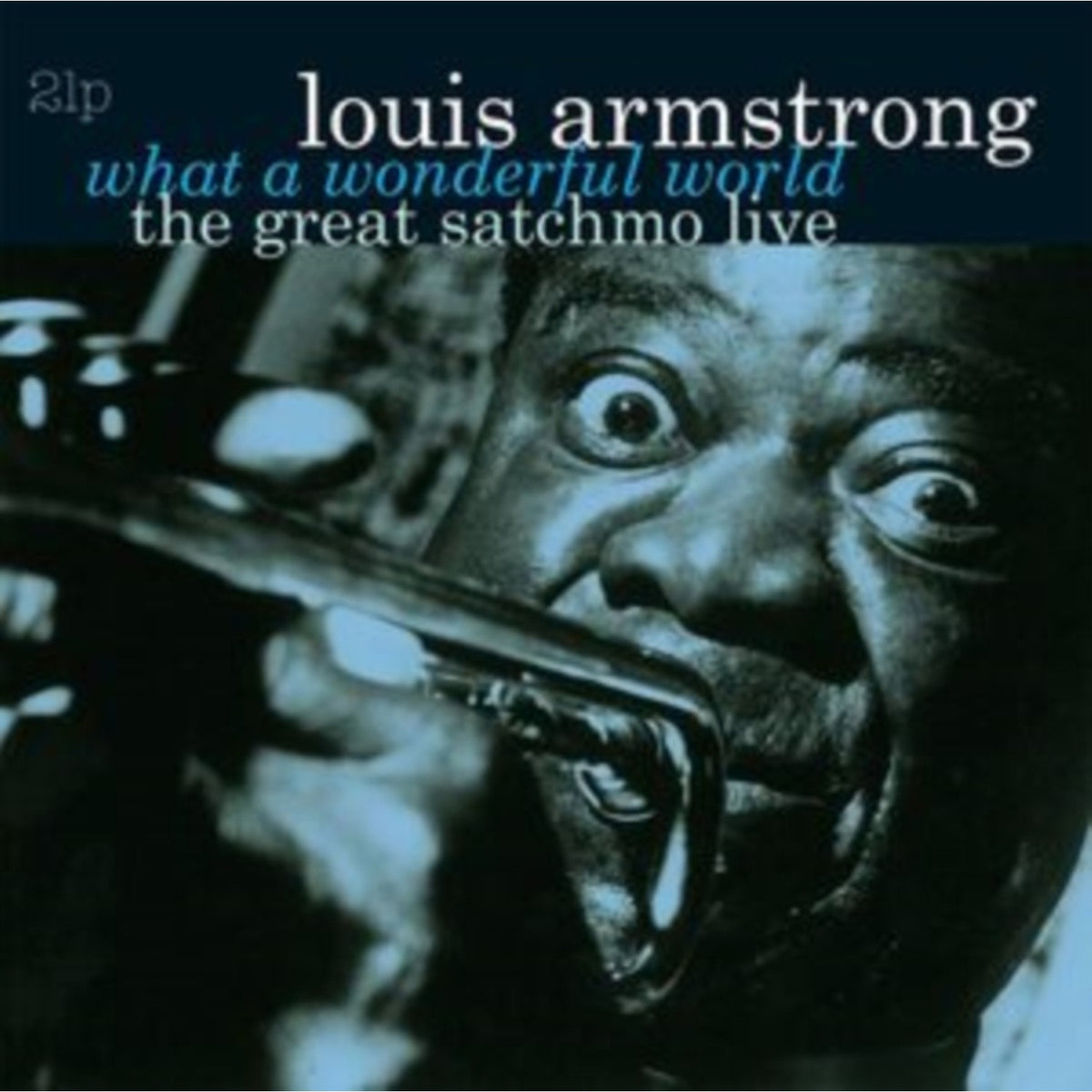 What A Wonderful World: Great Satchmo Live (180G)